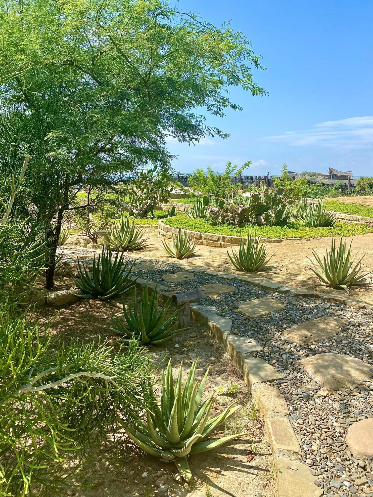 La Playa Hotel Los Órganos Kültér fotó
